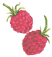 Himbeeren