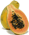 Papaya