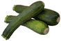 Zucchini